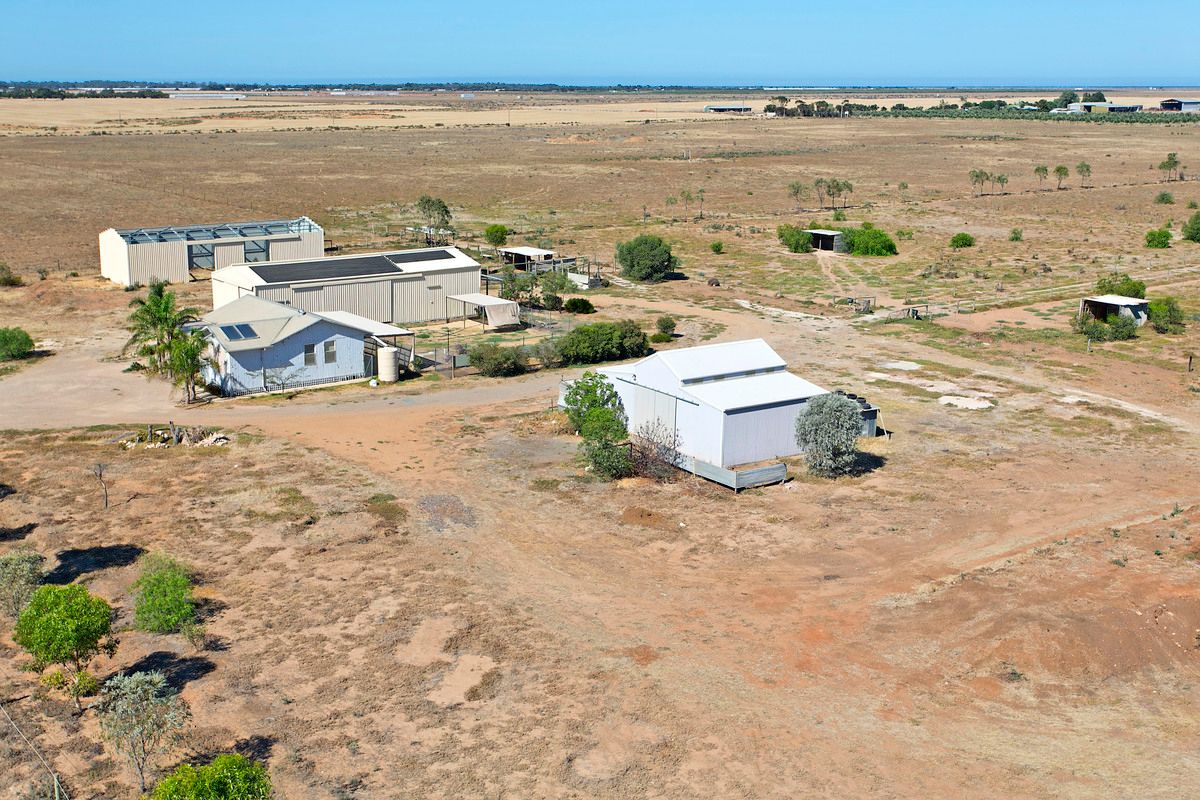 Lot 160 Buckland Park Road, TWO WELLS SA 5501
