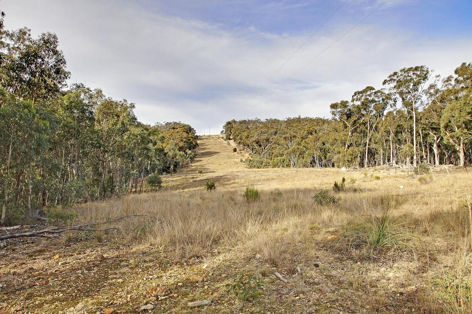Lot 1 Lumley Road, WINDELLAMA, NSW 2580