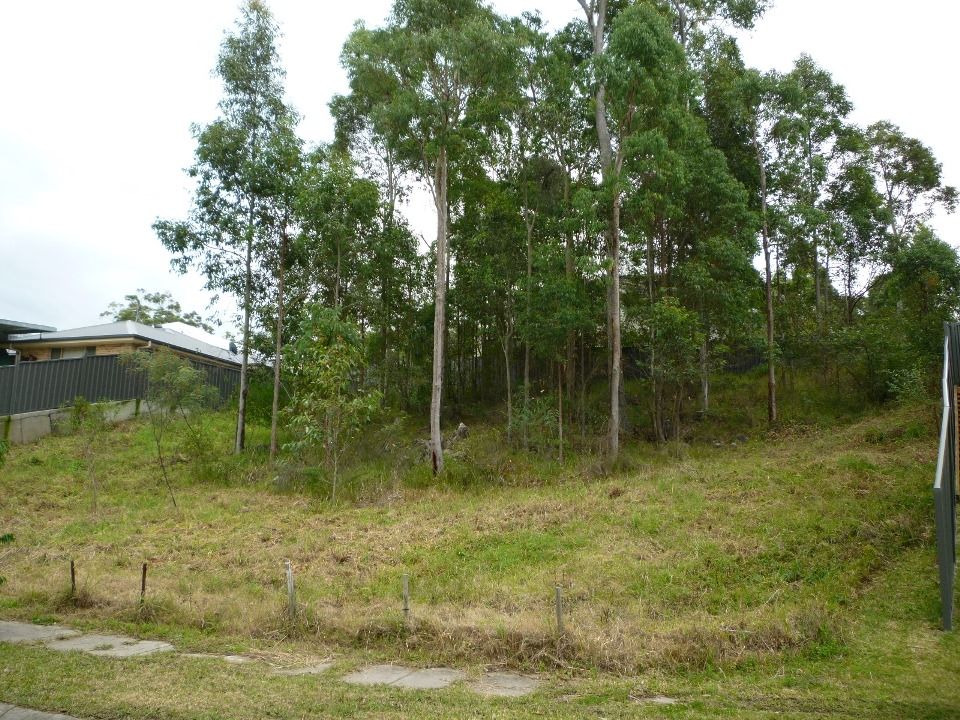 CAMERON PARK, NSW 2285