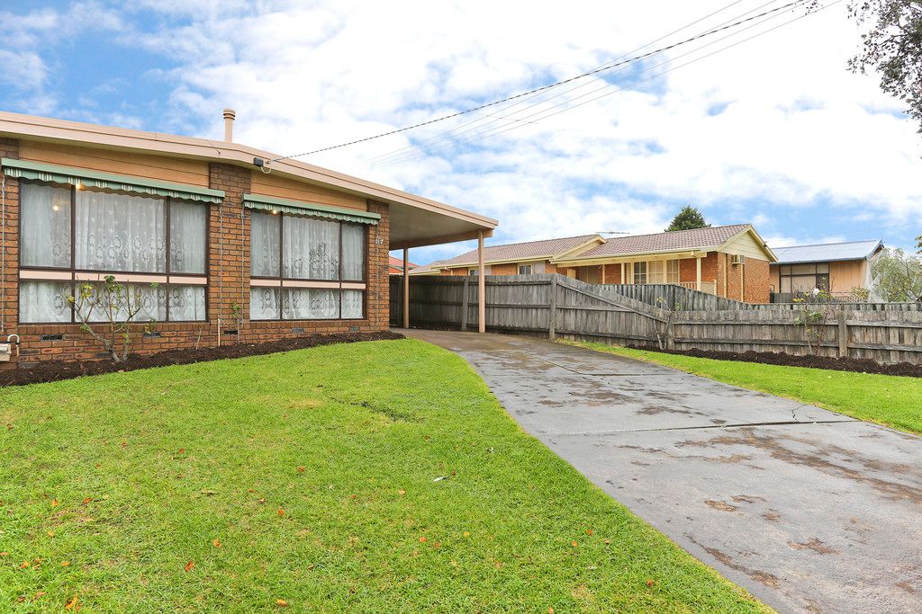 117 First Avenue, ROSEBUD VIC 3939