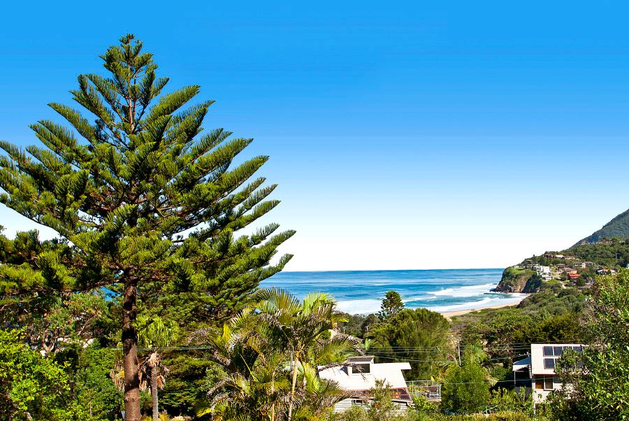 58 The Drive, STANWELL PARK, NSW 2508