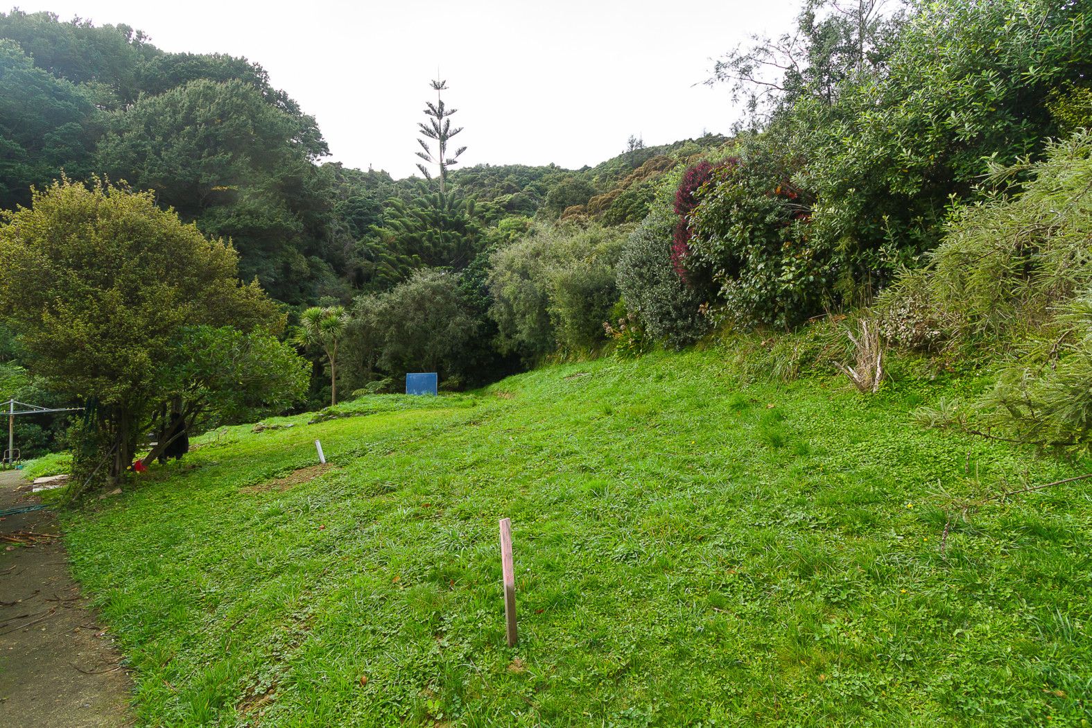 206a Whites Line East, WAIWHETU, Lower Hutt City
