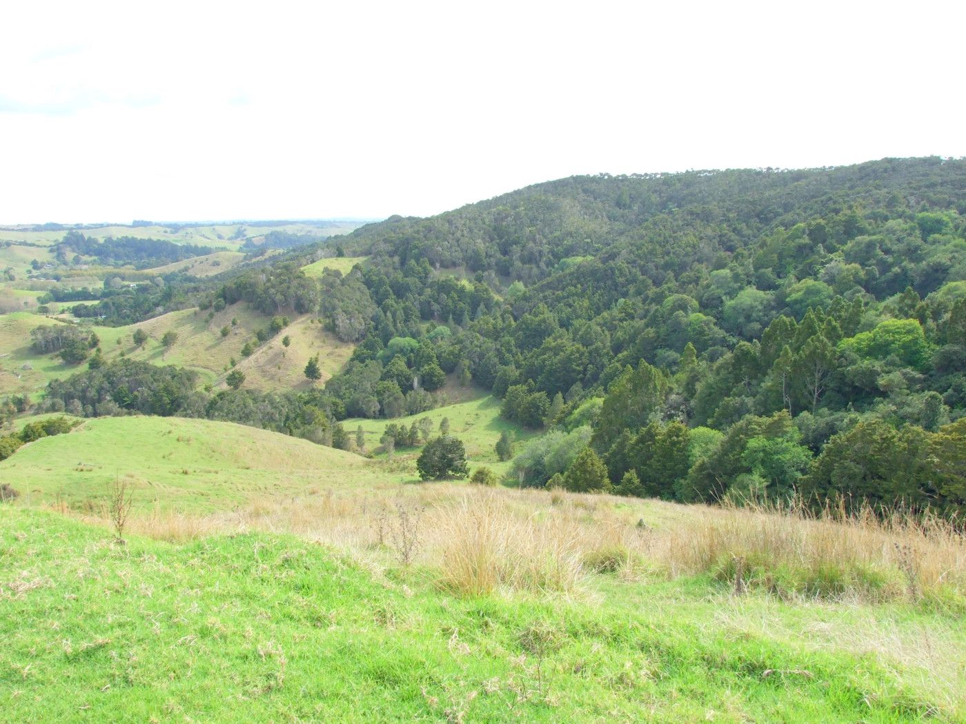 515 Duncan Road, Kaingaroa, Far North District