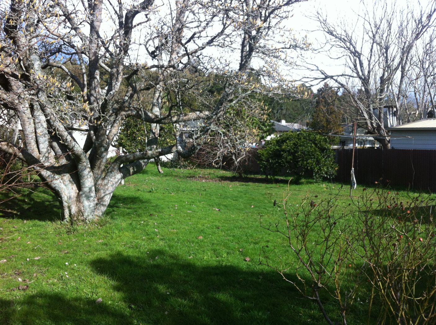 56a Claude Street, CLAUDELANDS, Hamilton City