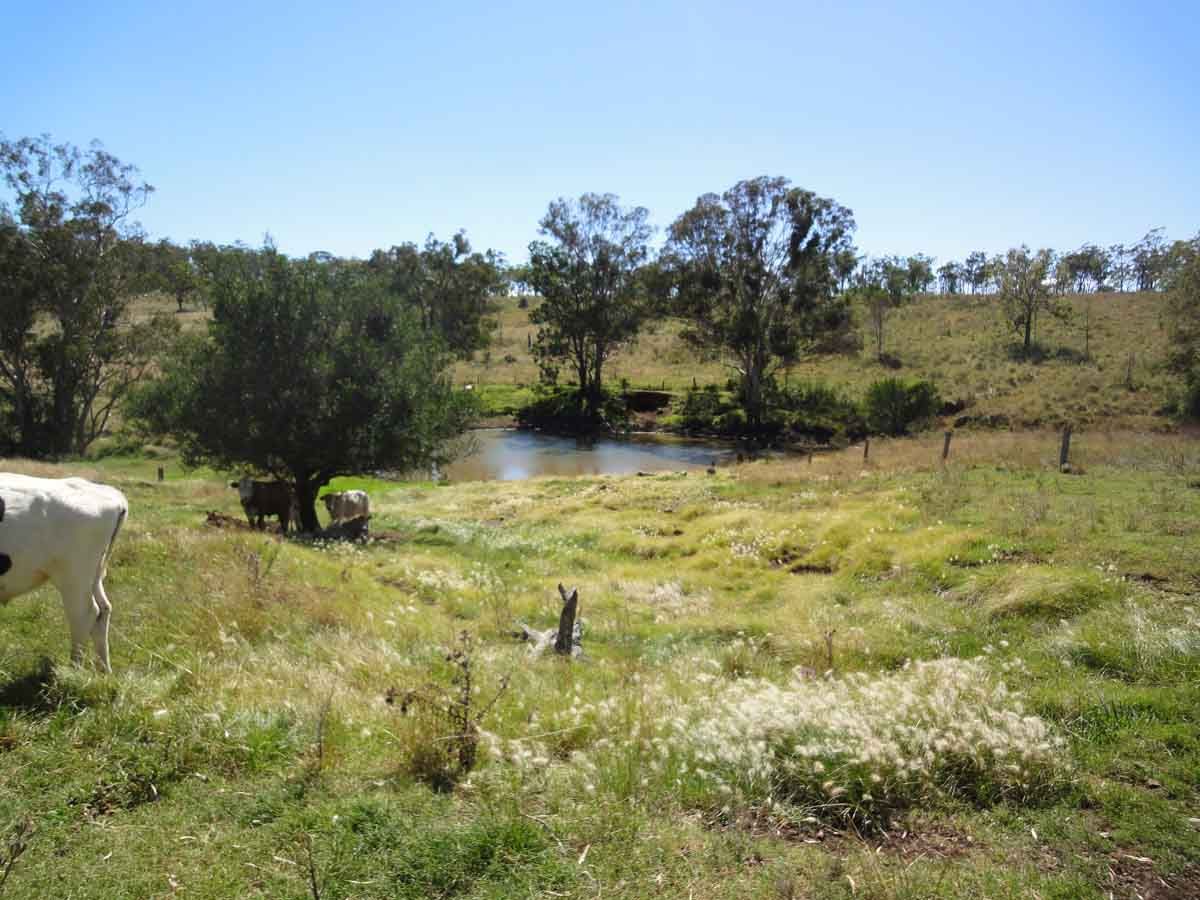 Lot 80 and 2 Kings Hill Road, KULPI, QLD 4352