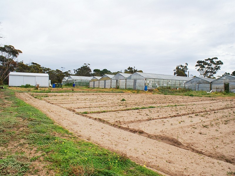 Lot 162 Old Swanport Road, MURRAY BRIDGE, SA 5253