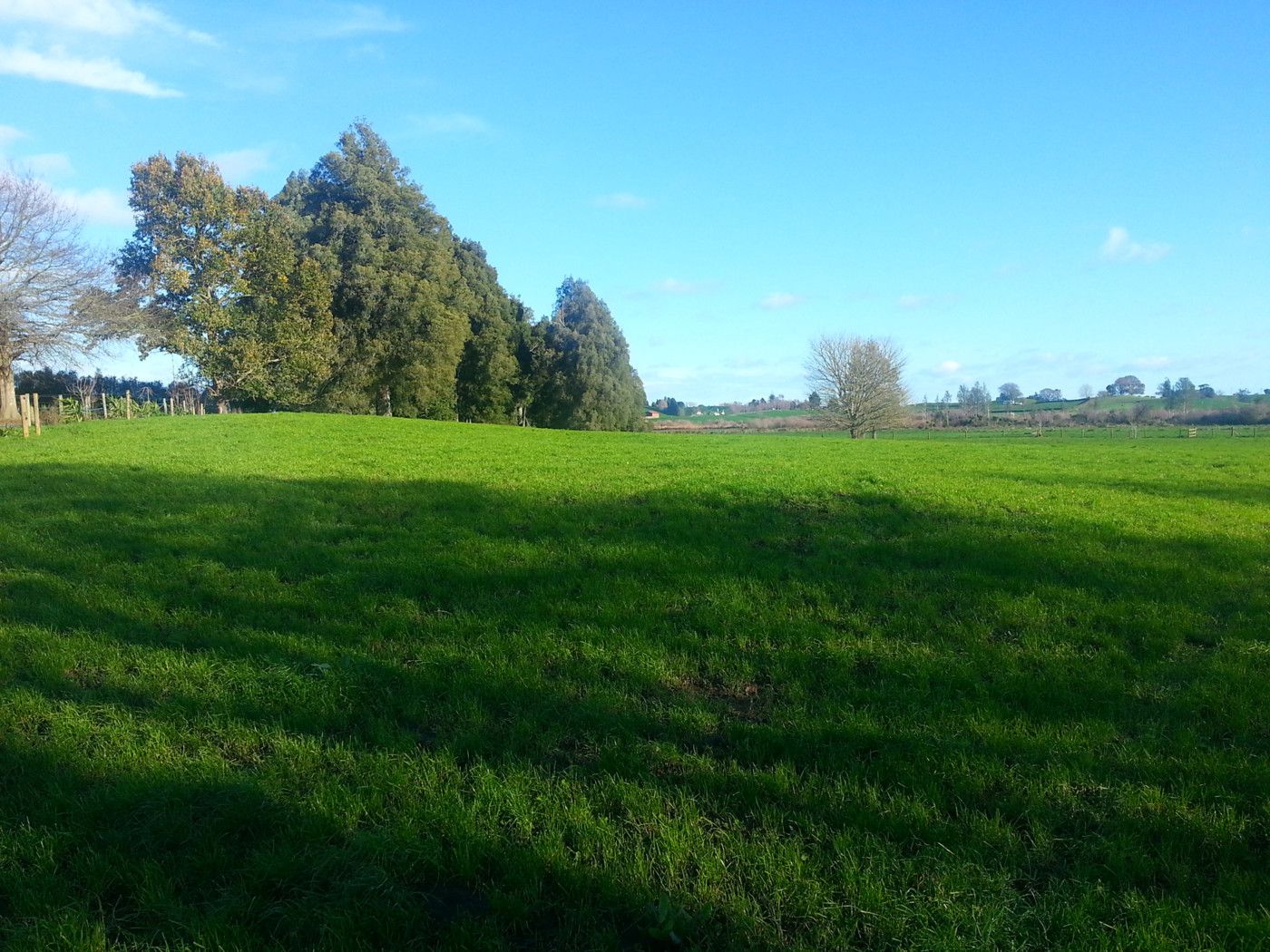 138 Ranby Road, OHAUPO, Waipa District