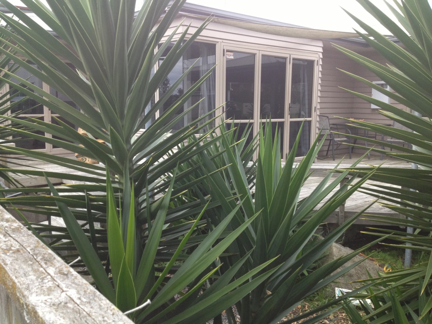 35 A Orkney Road, MT MAUNGANUI, Tauranga City