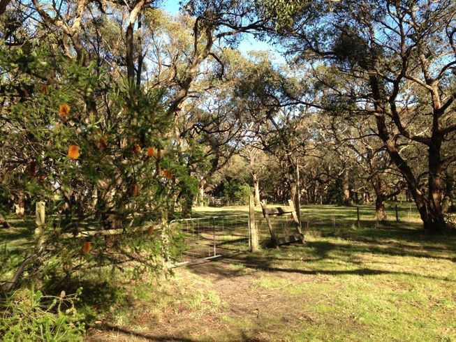 Lot 1 Causeway Road, FRENCH ISLAND, VIC 3921