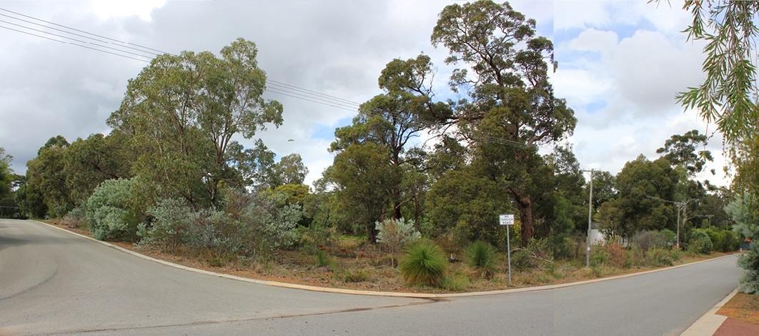 1 Thornton Place, GOOSEBERRY HILL, WA 6076