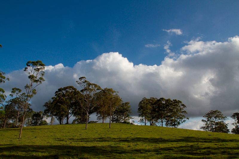 17 Florence Lane, MOUNT MEE, QLD 4521