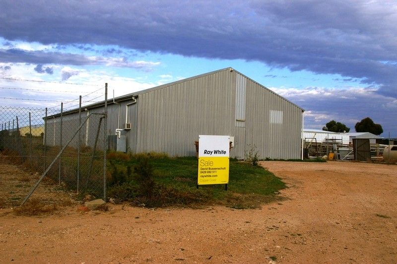 6B Evans Road, WALLAROO, SA 5556