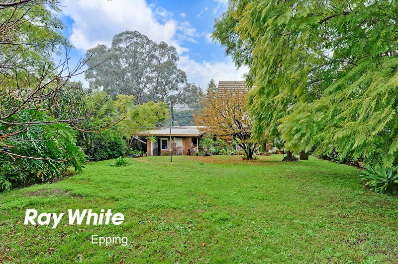 53 Winbourne Street, WEST RYDE, NSW 2114