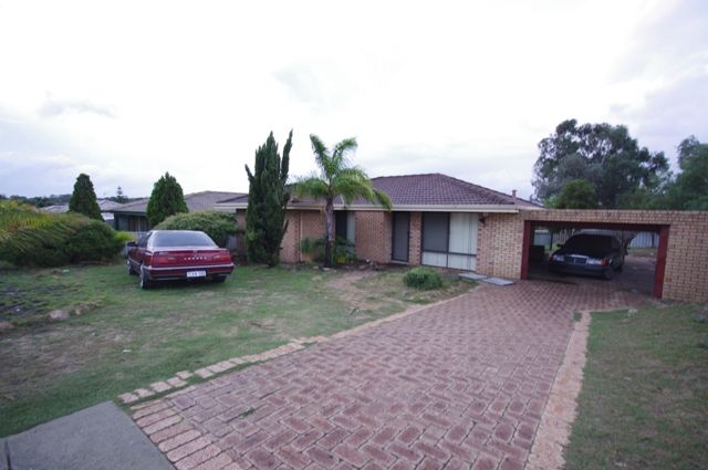 67 Appleblossom Drive, MIRRABOOKA, WA 6061