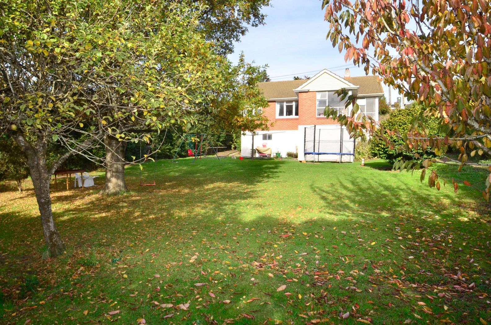 20 Panmure Avenue, CALTON HILL, Dunedin City