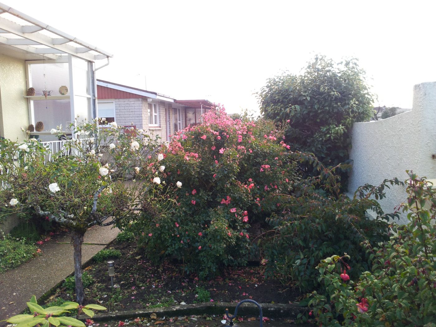 AVENAL, Invercargill