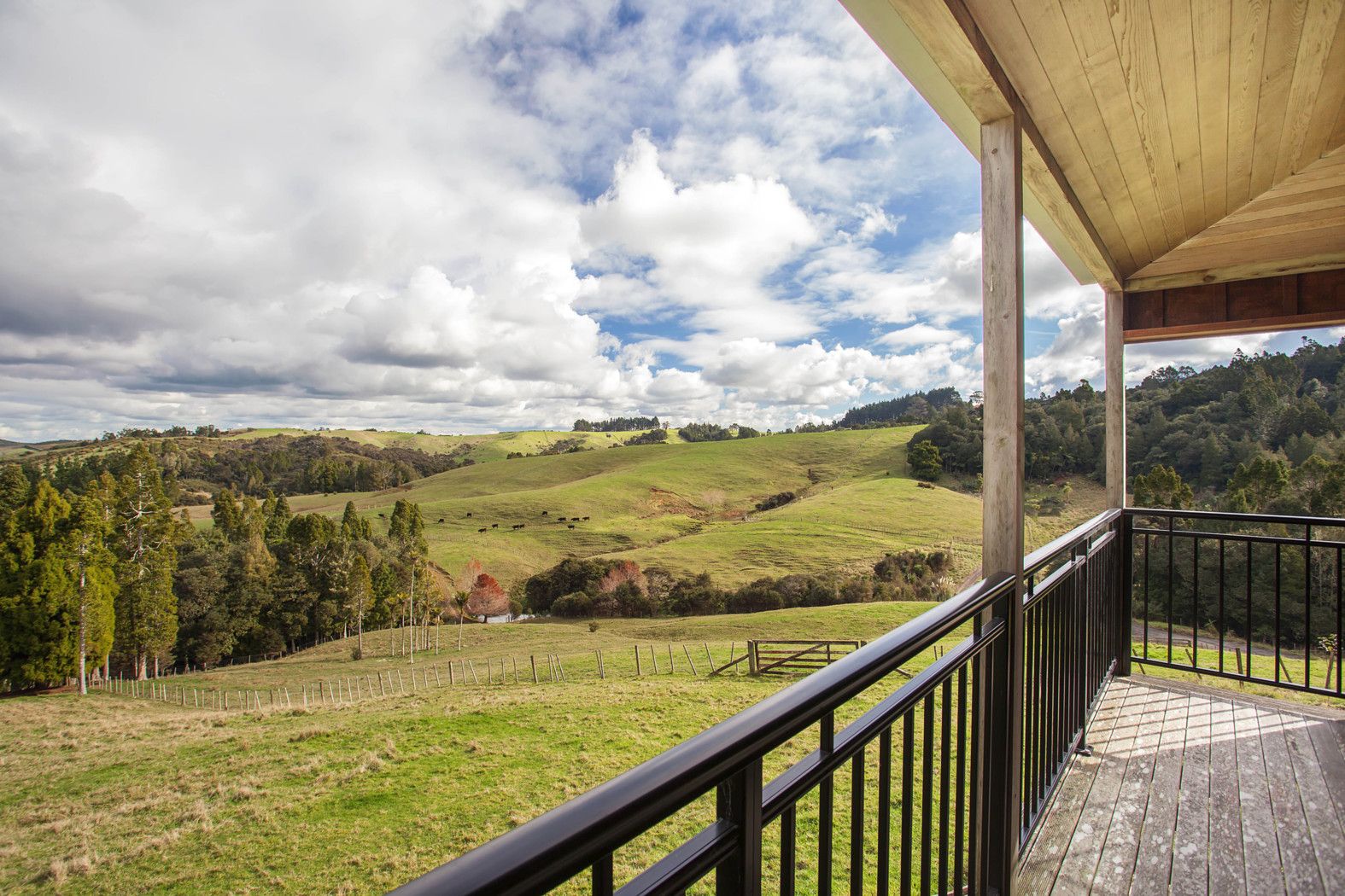102 Tender Road, DAIRY FLAT, Rodney