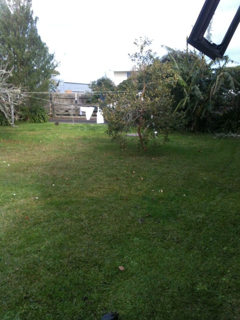 POINT WELLS, Matakana Coast