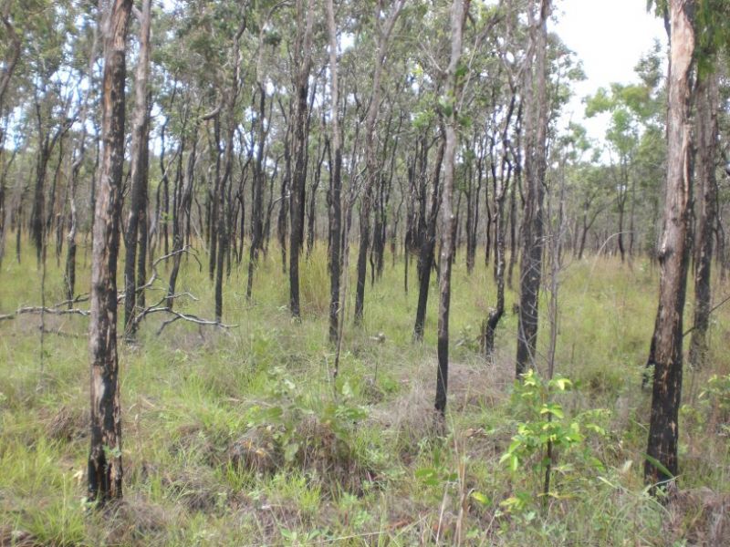 Lot 1 Bruce Highway, CLAIRVIEW QLD 4741