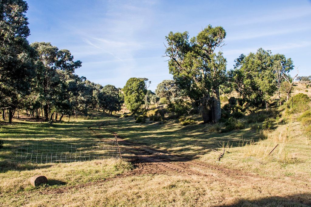 " The Glen ", MACLAGAN, QLD 4352
