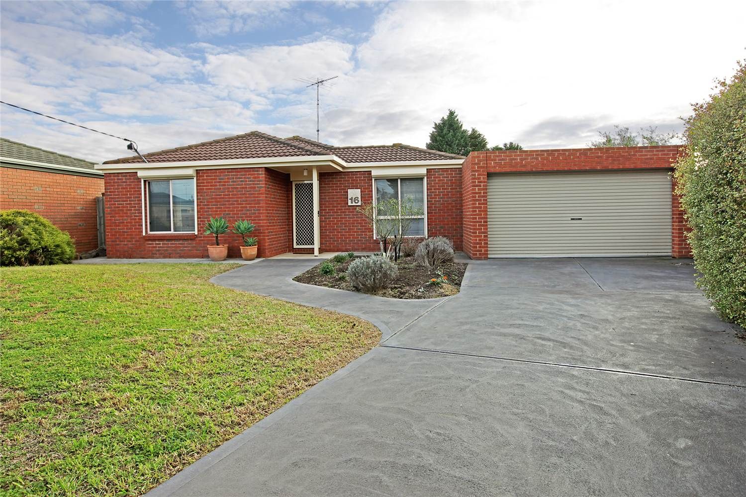 16 Freesia Court, WHITTINGTON VIC 3219