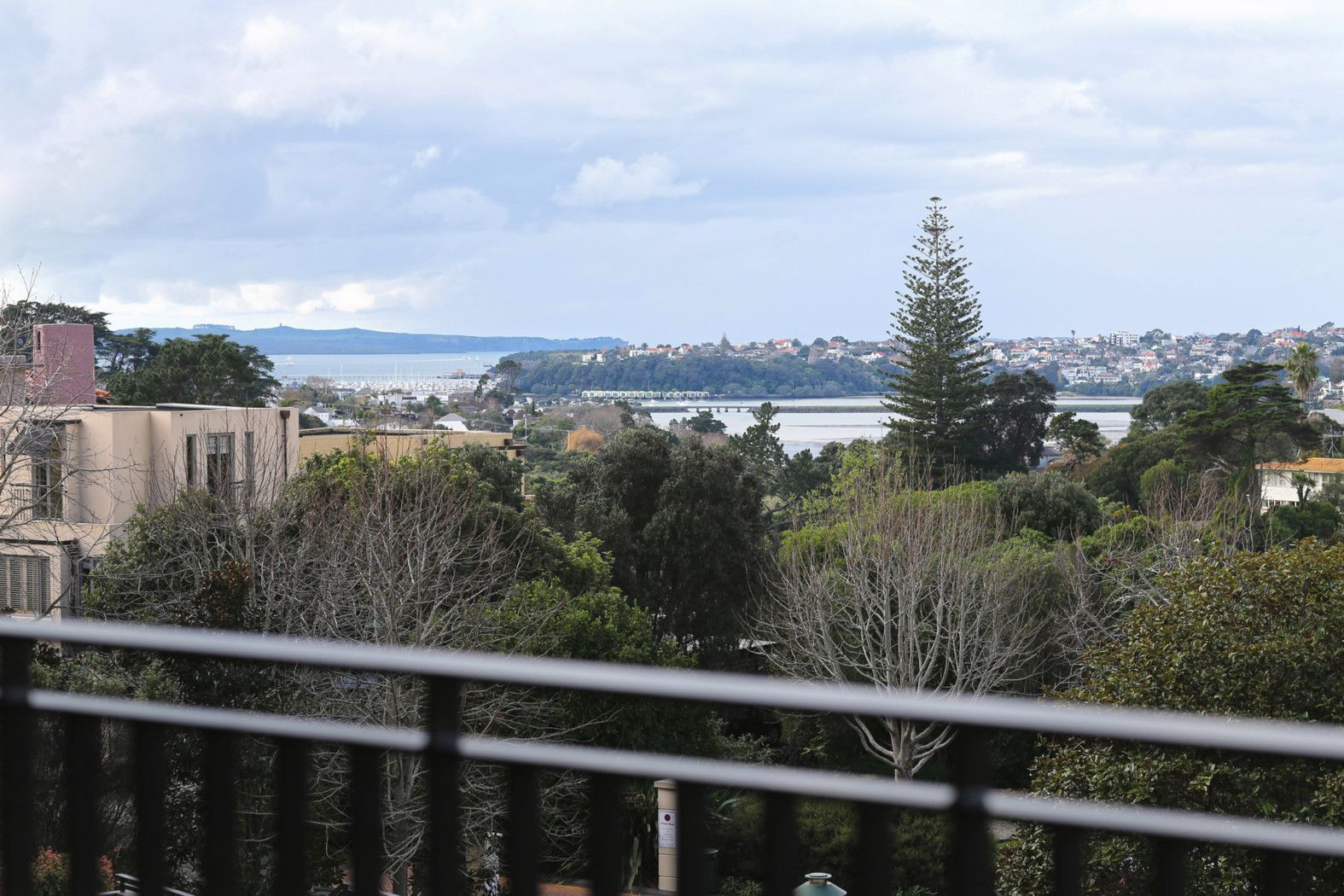 Remuera, Auckland City