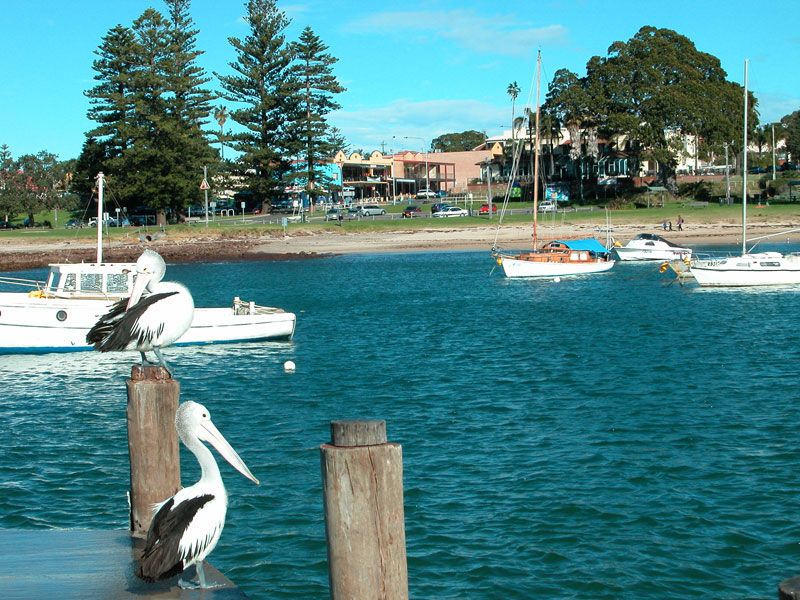 63  Addison Street, SHELLHARBOUR, NSW 2529