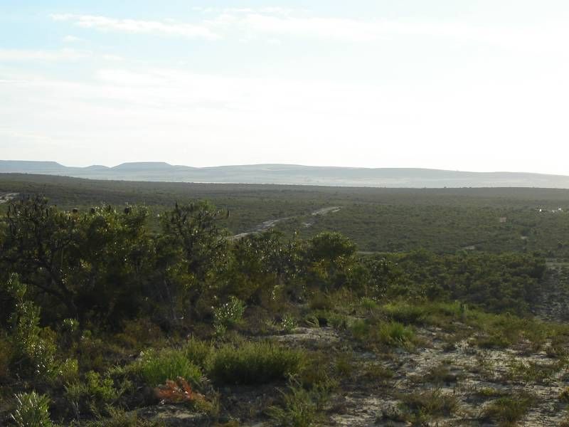 Lot 315 Emma Court, JURIEN BAY, WA 6516