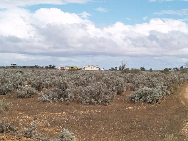 31 Slaughterhouse Road, MORGAN, SA 5320