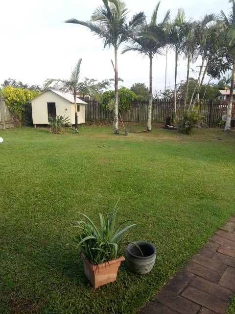 5 Bruce Street, TORQUAY, QLD 4655