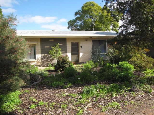 29 Hawdon Street, BARMERA SA 5345