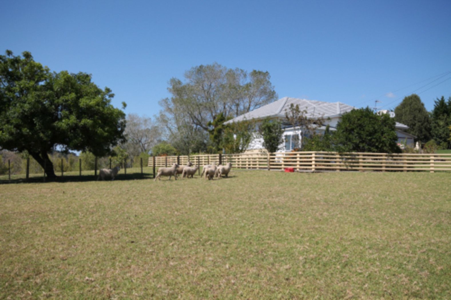 1646 Dairy Flat Highway, DAIRY FLAT, Rodney
