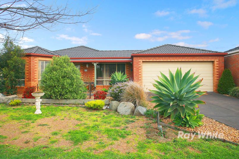 11 Thistlewood Place, CRANBOURNE EAST VIC 3977