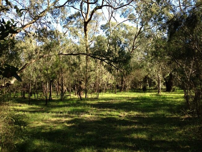 37 Bullecourt Road, BITTERN, VIC 3918