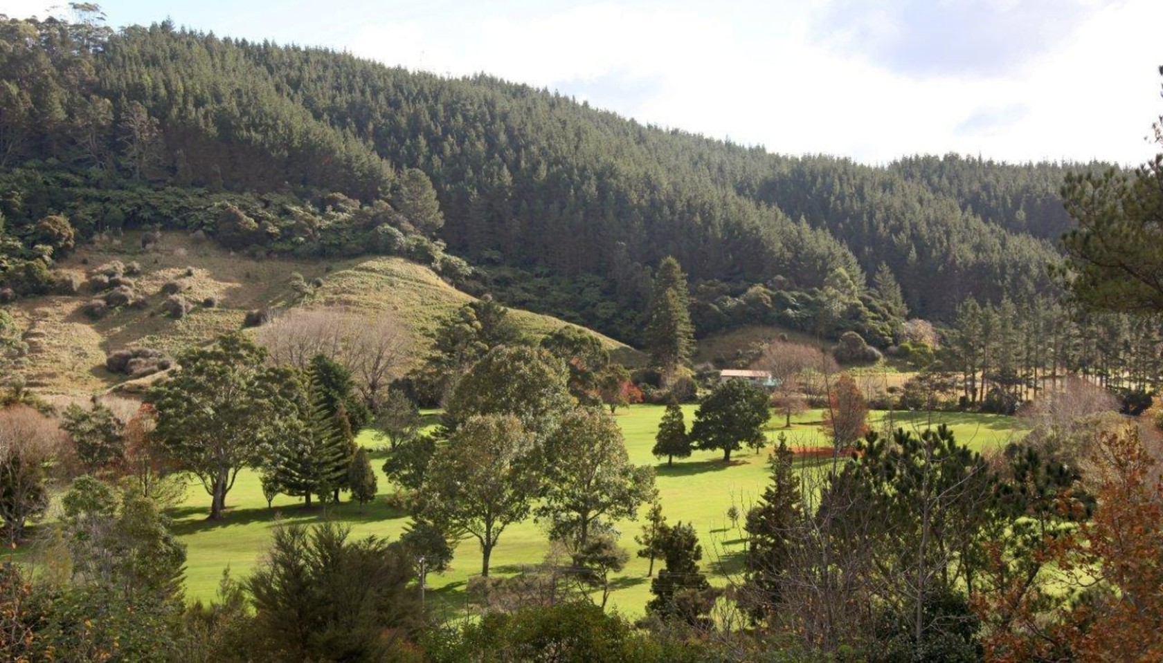 WHANGAMATA, Thames Coromandel District