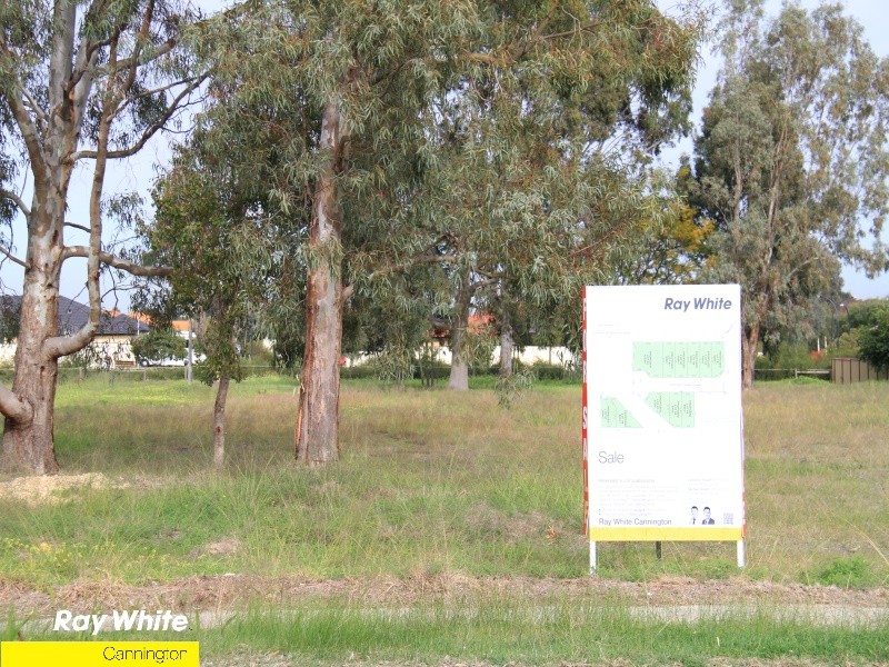 31 Dellar Road, MADDINGTON, WA 6109
