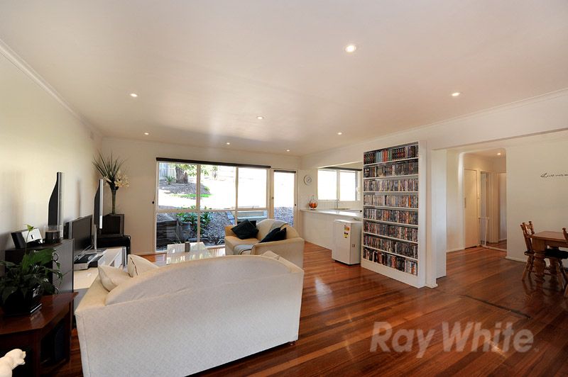 31 Enfield Drive, BAYSWATER, VIC 3153