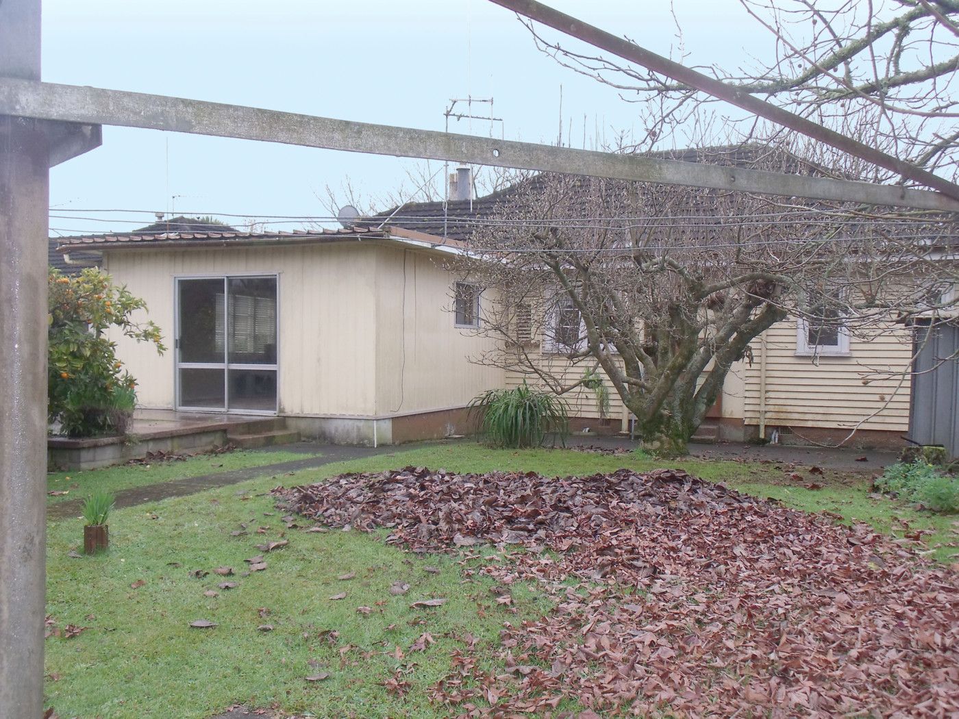 1 Olwyn Terrace, DINSDALE, Hamilton City