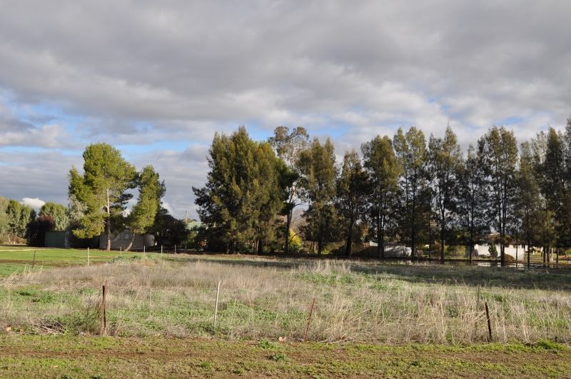 Lots 1,2,3 Evelyn Street, EUGOWRA, NSW 2806