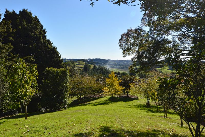 Quality Lifestyle Blocks at Jacks Ridge, Whitford - Whitford