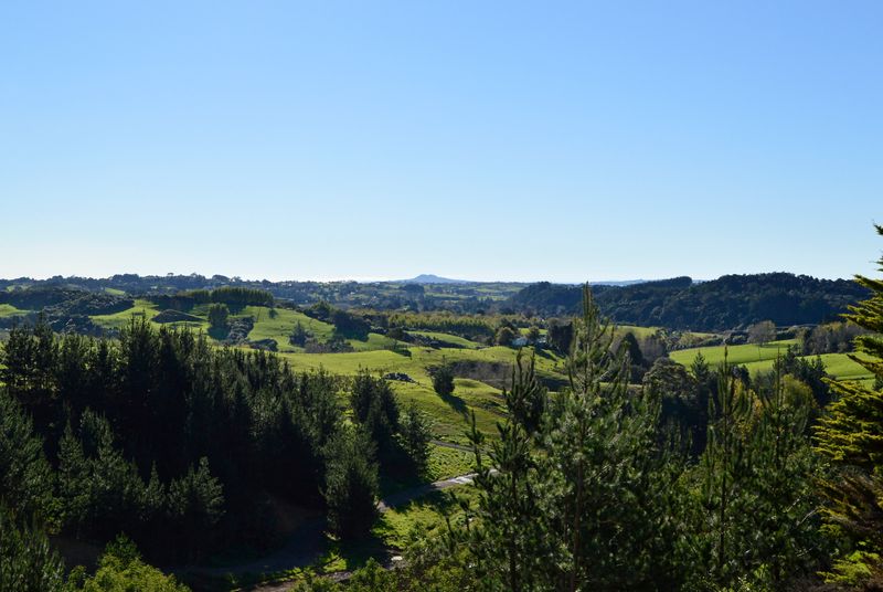 Quality Lifestyle Blocks at Jacks Ridge, Whitford - Whitford