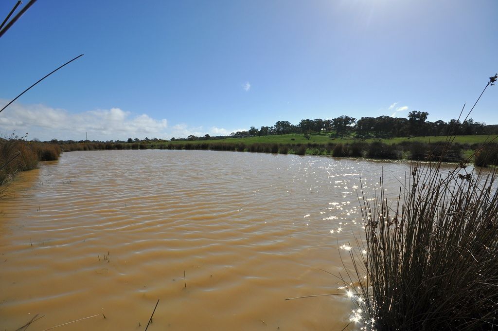 CA G13 Midland Highway, MAGPIE, VIC 3352