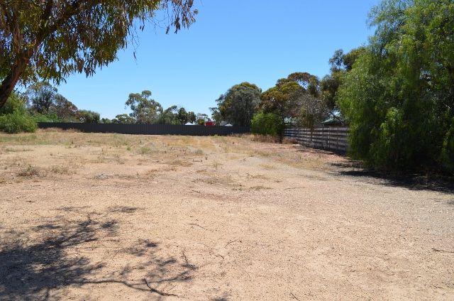 Lot 176 Main Street, OWEN, SA 5460
