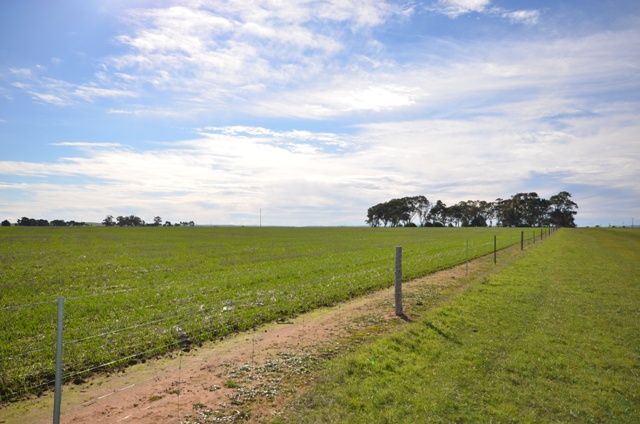 'OLGAVALE' Various Secs, FARRELL FLAT, SA 5416