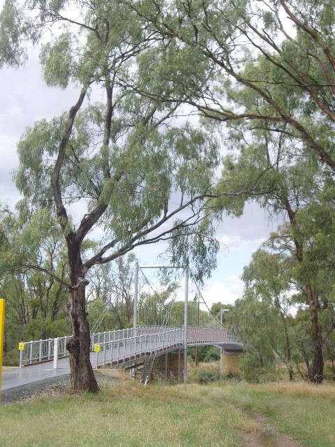63 Campaspe Esplanade, ECHUCA, VIC 3564