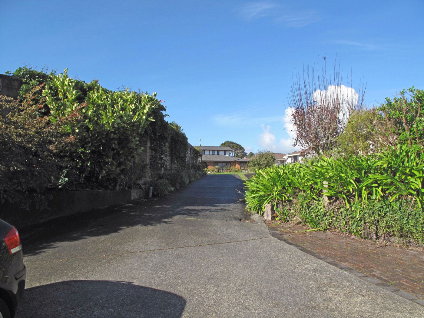 51 Coquette Street, WARKWORTH, Rodney