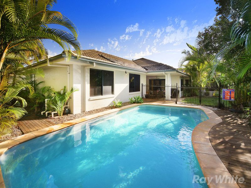 17 Longwood Drive, PEREGIAN SPRINGS QLD 4573