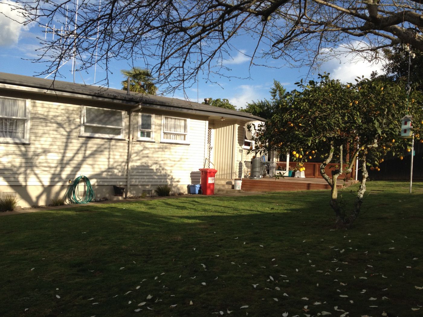 91 Williams Street, TE AWAMUTU, Waipa District