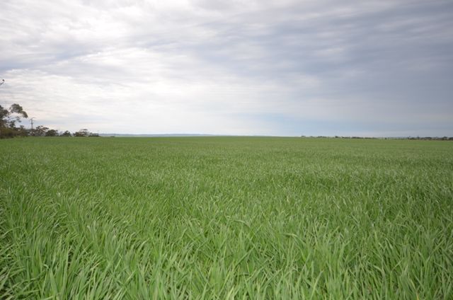 Lot 16 James Eckermann Road, HART, SA 5464