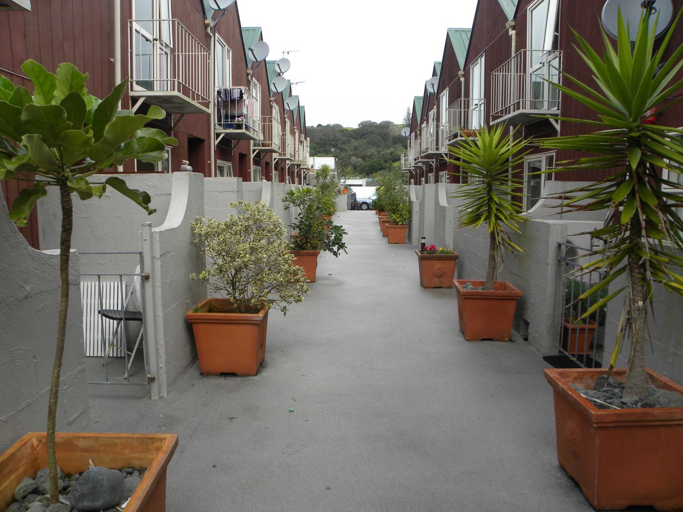 3b/66 Mt Eden Road, MT EDEN, Auckland City